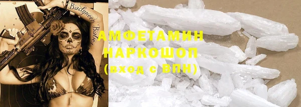 индика Богородск