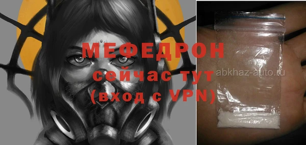 индика Богородск