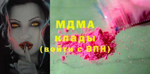 индика Богородск