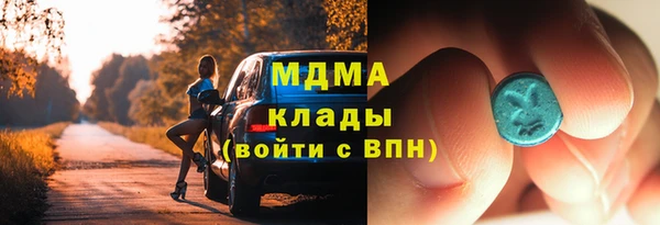индика Богородск