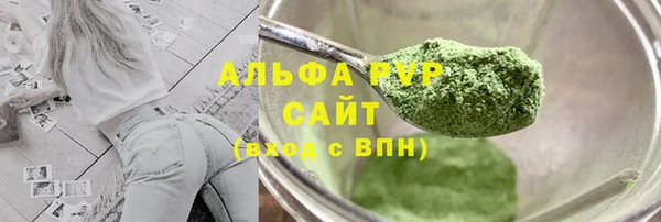 индика Богородск