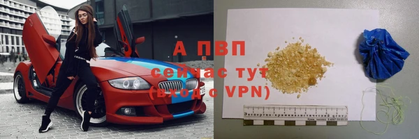 индика Богородск