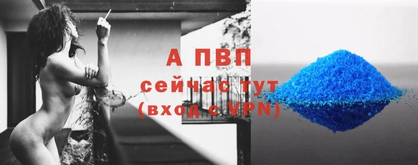 индика Богородск