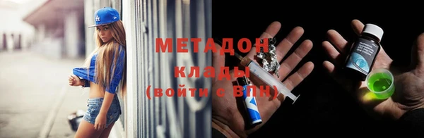 индика Богородск